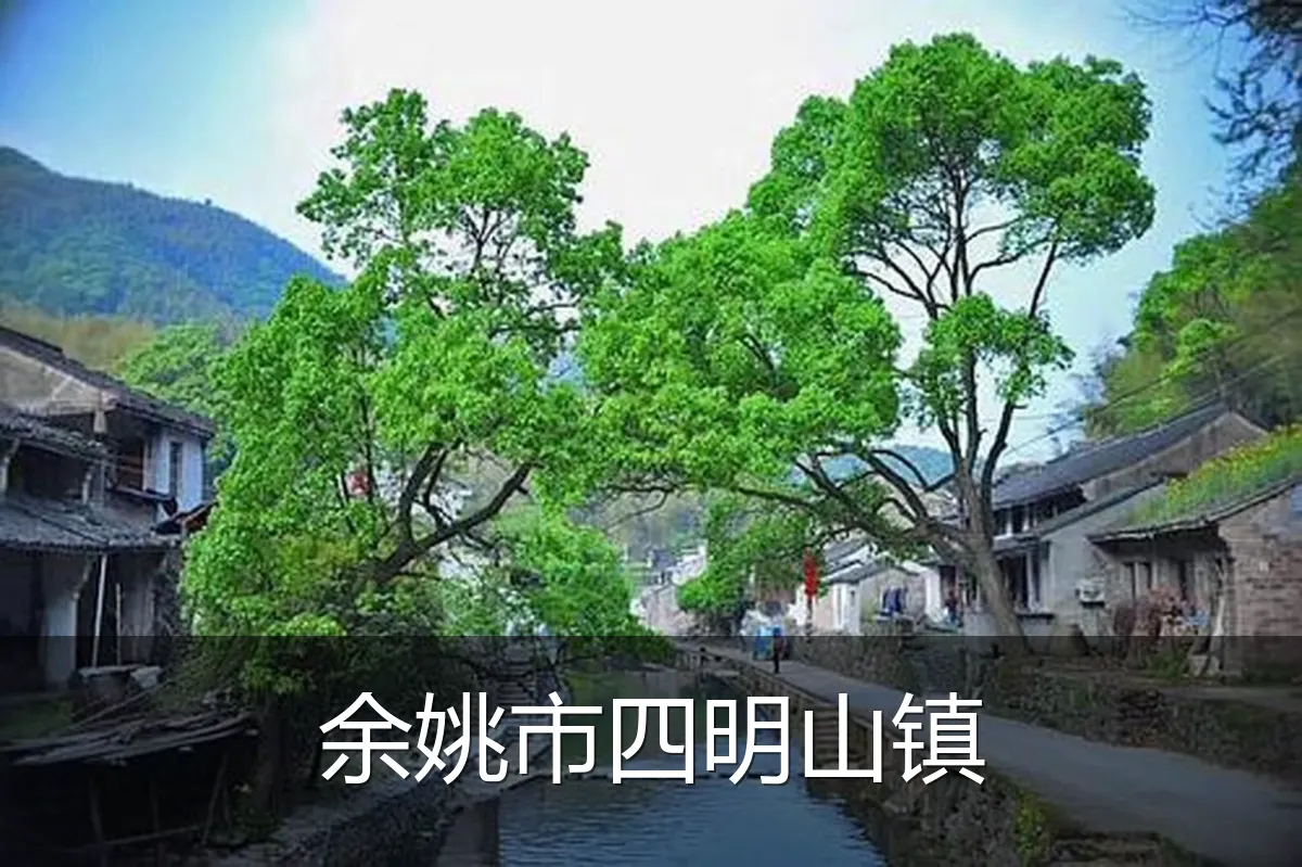 余姚市四明山镇