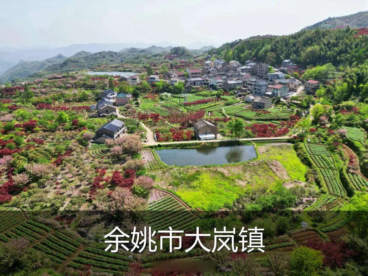 余姚市大岚镇