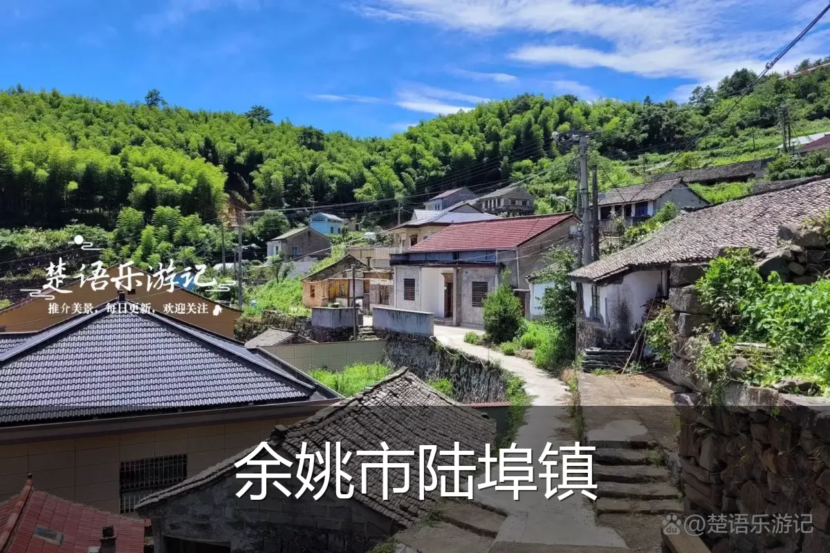余姚市陆埠镇